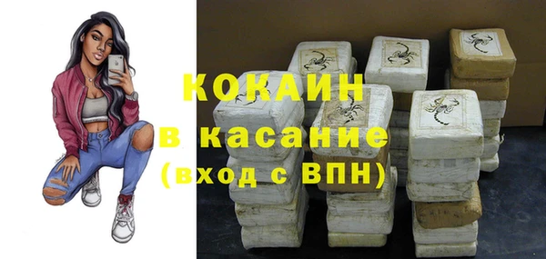 твердый Аркадак