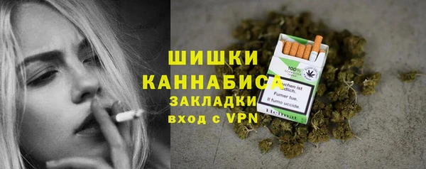 твердый Аркадак